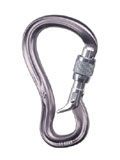 Black Diamond Gridlock Screwgate Carabiner