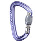 Black Diamond Nitron Screwgate Carabiner (Violet Haze)