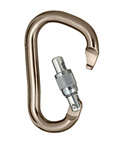 Black Diamond Rocklock Locking Carabiner (Screw Gate)