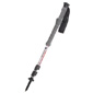 Black Diamond Trail Compact Trekking Poles (Cinnamon)