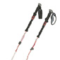 Black Diamond Trail Shock Trekking Poles