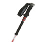 Black Diamond Trail Shock Trekking Poles (27-55 inches)