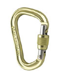 Black Diamond Vaporlock Screwgate Carabiner (Lime)