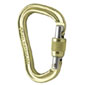 Black Diamond Vaporlock Screwgate Carabiner