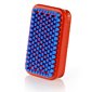 Swix Ski and Snowboard Brush