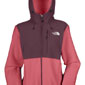 The North Face Denali Hoodie Women's