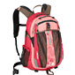 The North Face Recon Day Backpack (Truckee Pink)